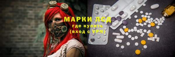 гидра Кодинск