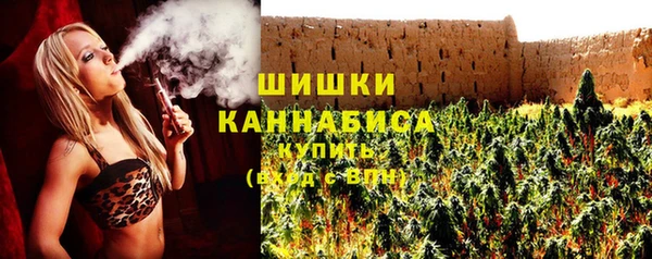 гидра Кодинск