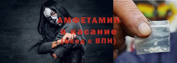 гидра Кодинск