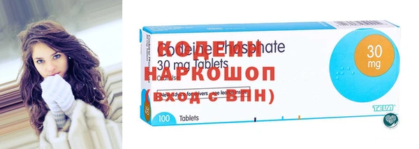 гидра Кодинск