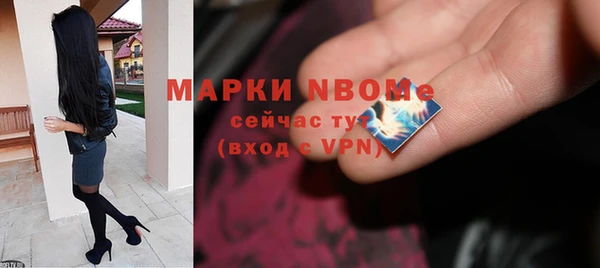 гидра Кодинск