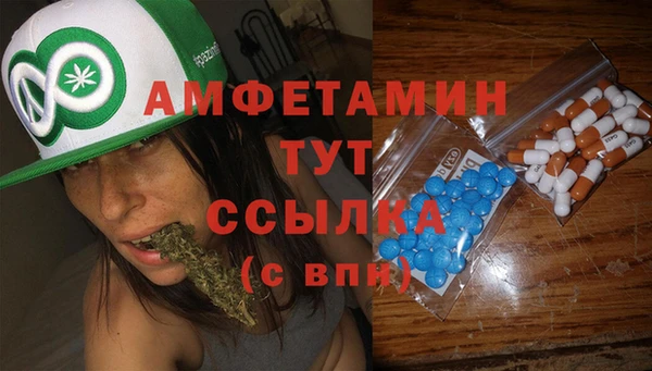 гидра Кодинск